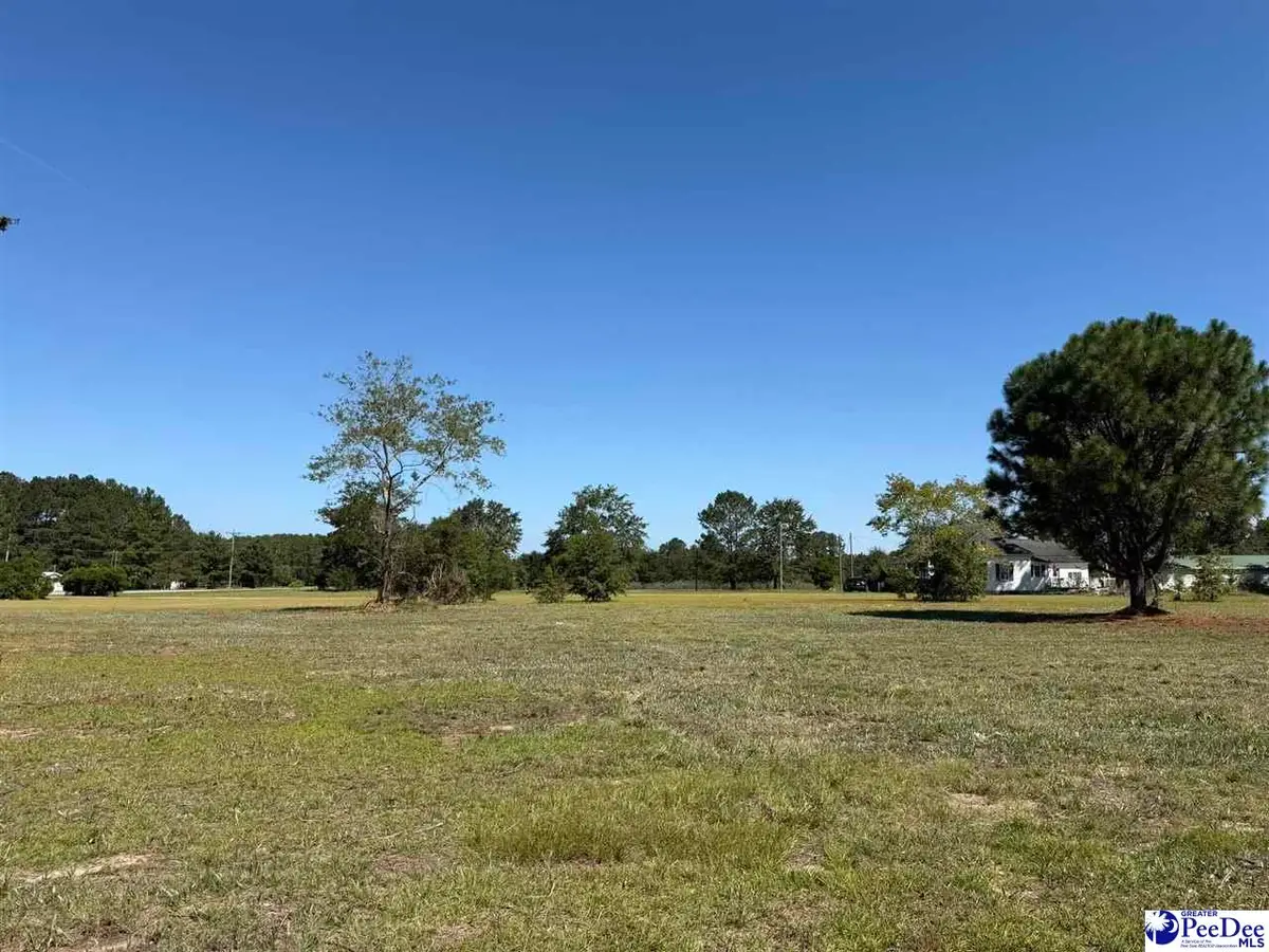 Lot 2 Isaiah Drive, Dillon, SC 29536 - #1