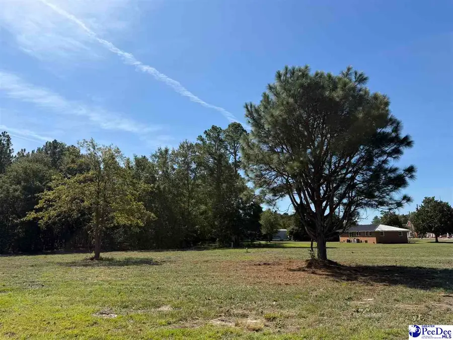 Lot 2 Isaiah Drive, Dillon, SC 29536 - #2