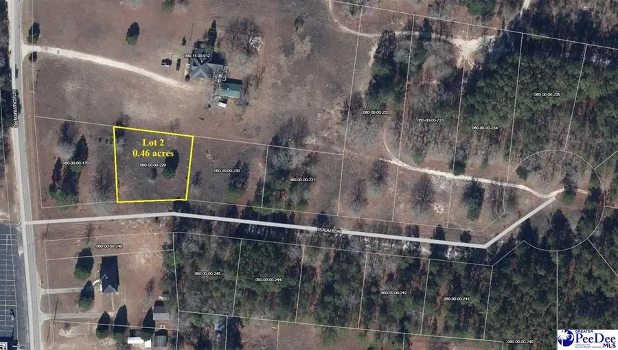 Lot 2 Isaiah Drive, Dillon, SC 29536 - #3