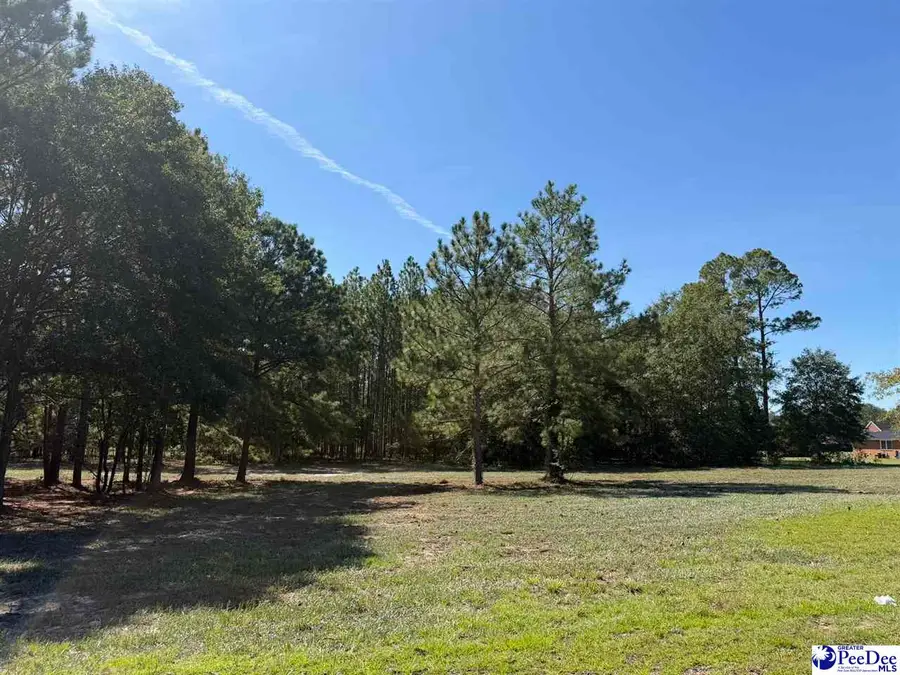 Lot 3 Isaiah Drive, Dillon, SC 29536 - #2