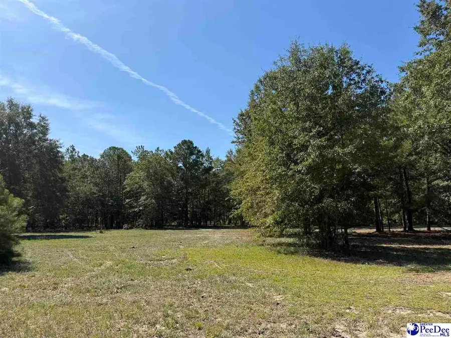 Lot 4 Isaiah Drive, Dillon, SC 29536 - #2