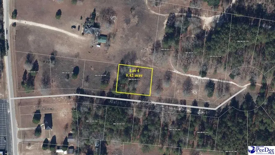 Lot 4 Isaiah Drive, Dillon, SC 29536 - #3