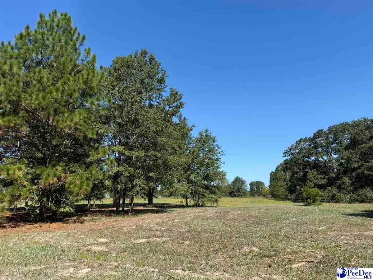 Lot 5 Isaiah Drive, Dillon, SC 29536 - #1