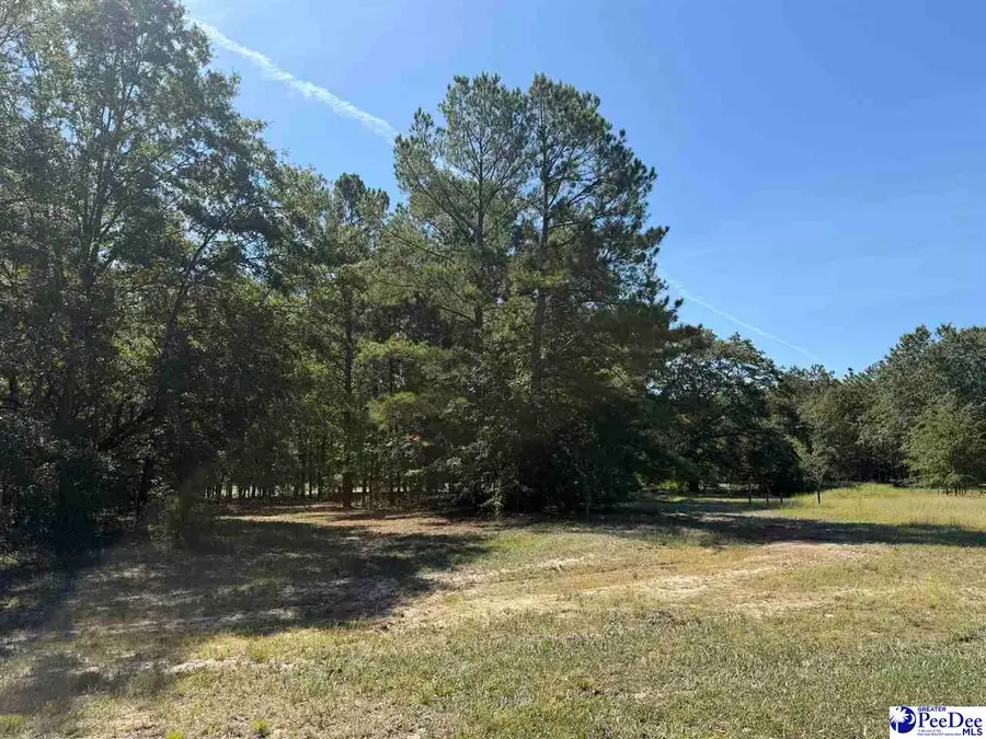 Lot 5 Isaiah Drive, Dillon, SC 29536 - #2