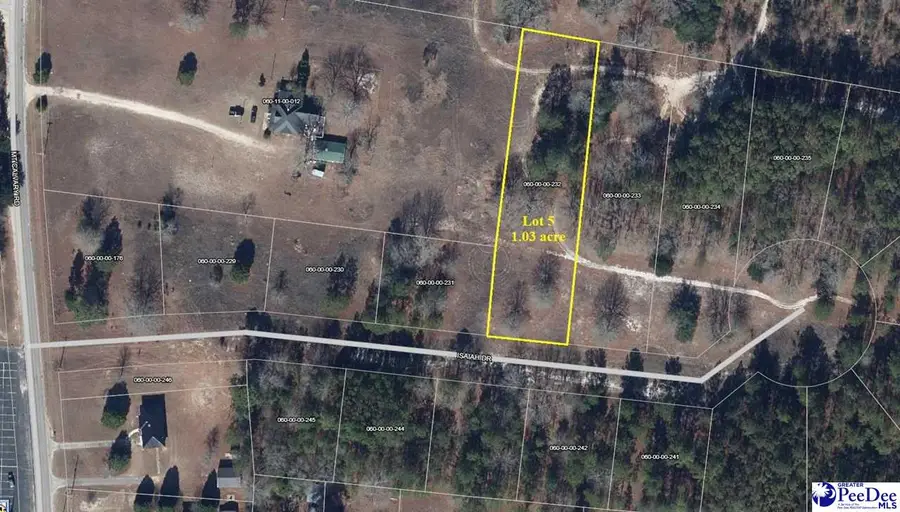 Lot 5 Isaiah Drive, Dillon, SC 29536 - #3