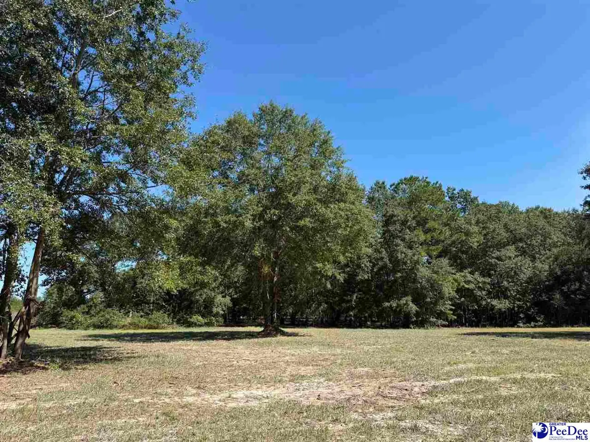 Lot 6 Isaiah Drive, Dillon, SC 29536 - #1
