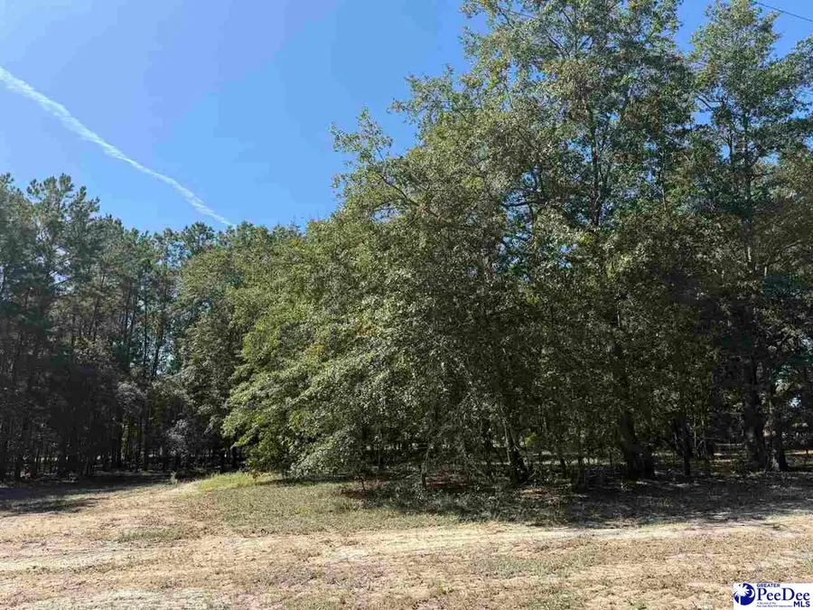 Lot 6 Isaiah Drive, Dillon, SC 29536 - #2