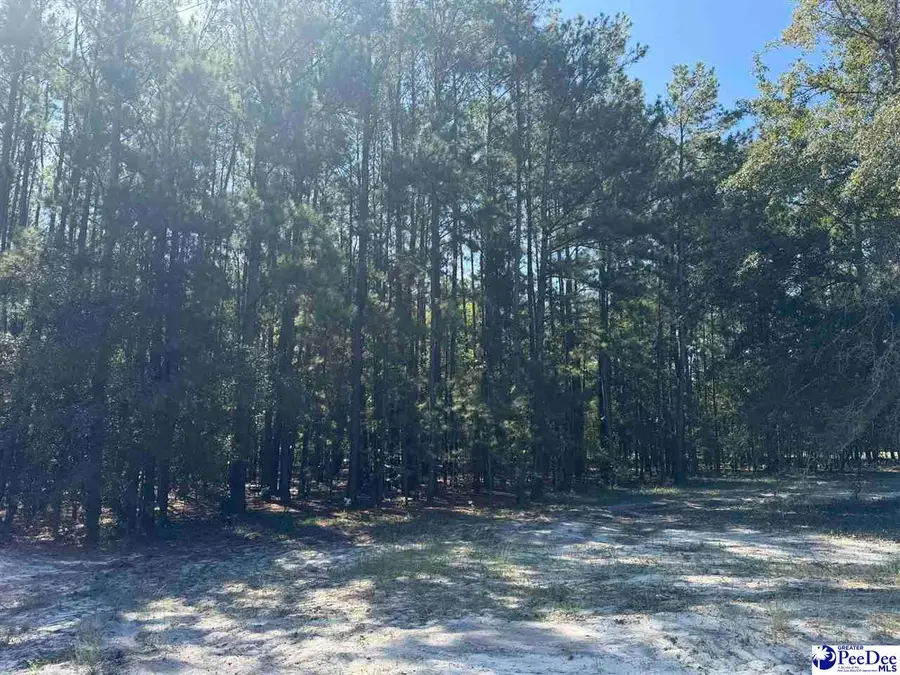 Lot 7 Isaiah Drive, Dillon, SC 29536 - #2