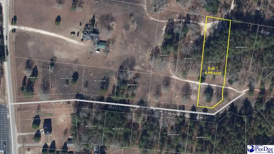 Lot 7 Isaiah Drive, Dillon, SC 29536 - #3