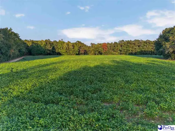 TBD Lum Vereen Rd. (tract-2c), Nichols, SC 29581
