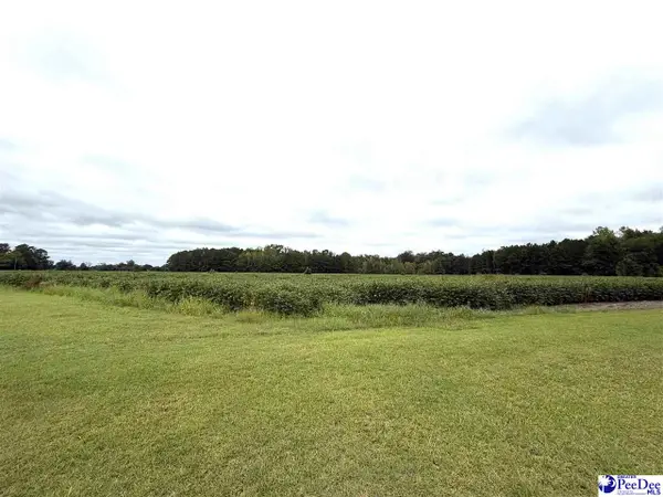 Dennis Rd, Hemingway, SC 29554