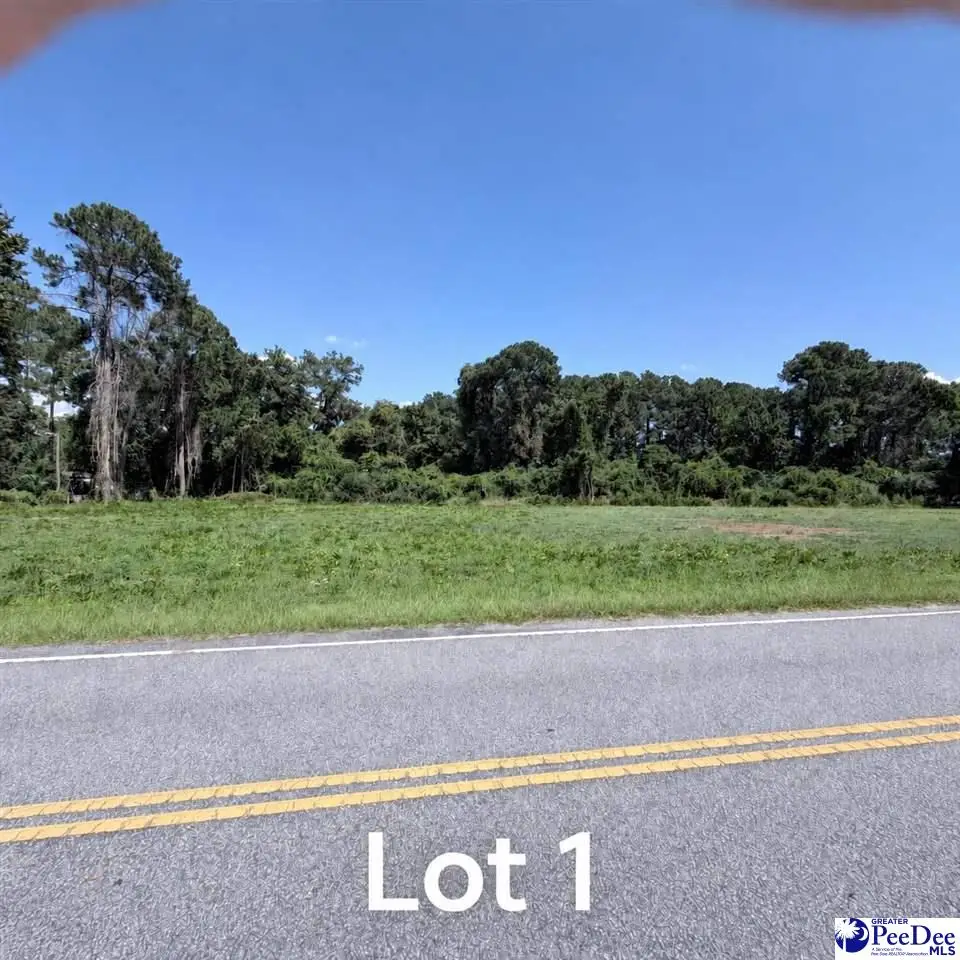 601 E Sam Harrell Road, Florence, SC 29506 - #1