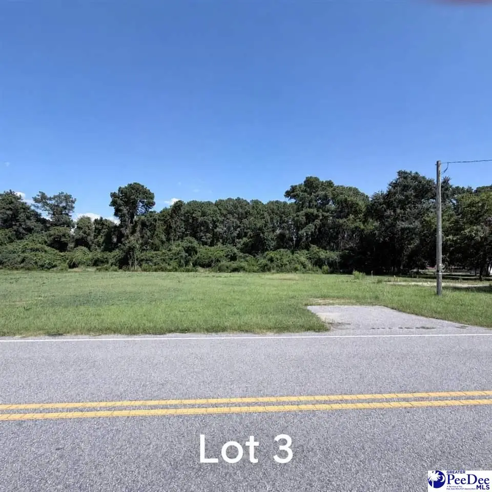 605 E Sam Harrell Road, Florence, SC 29506 - #1