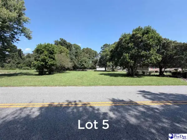 609 E Sam Harrell Road, Florence, SC 29506