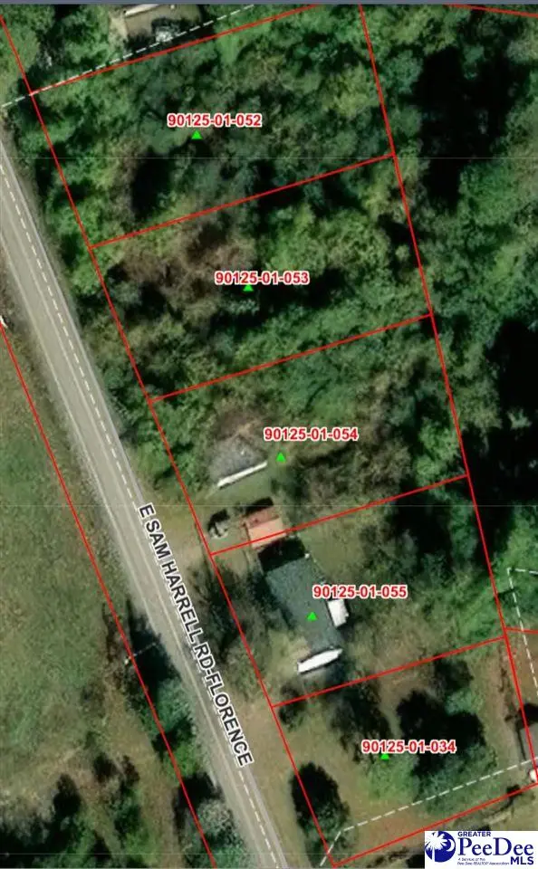 609 E Sam Harrell Road, Florence, SC 29506 - #3