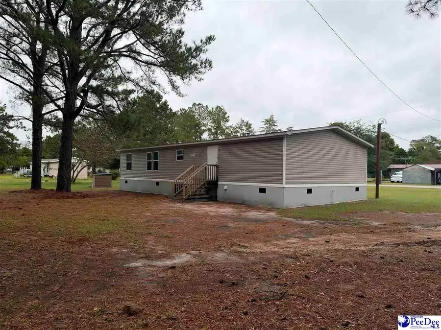 48 Social Ln, Lamar, SC 29069 - #3