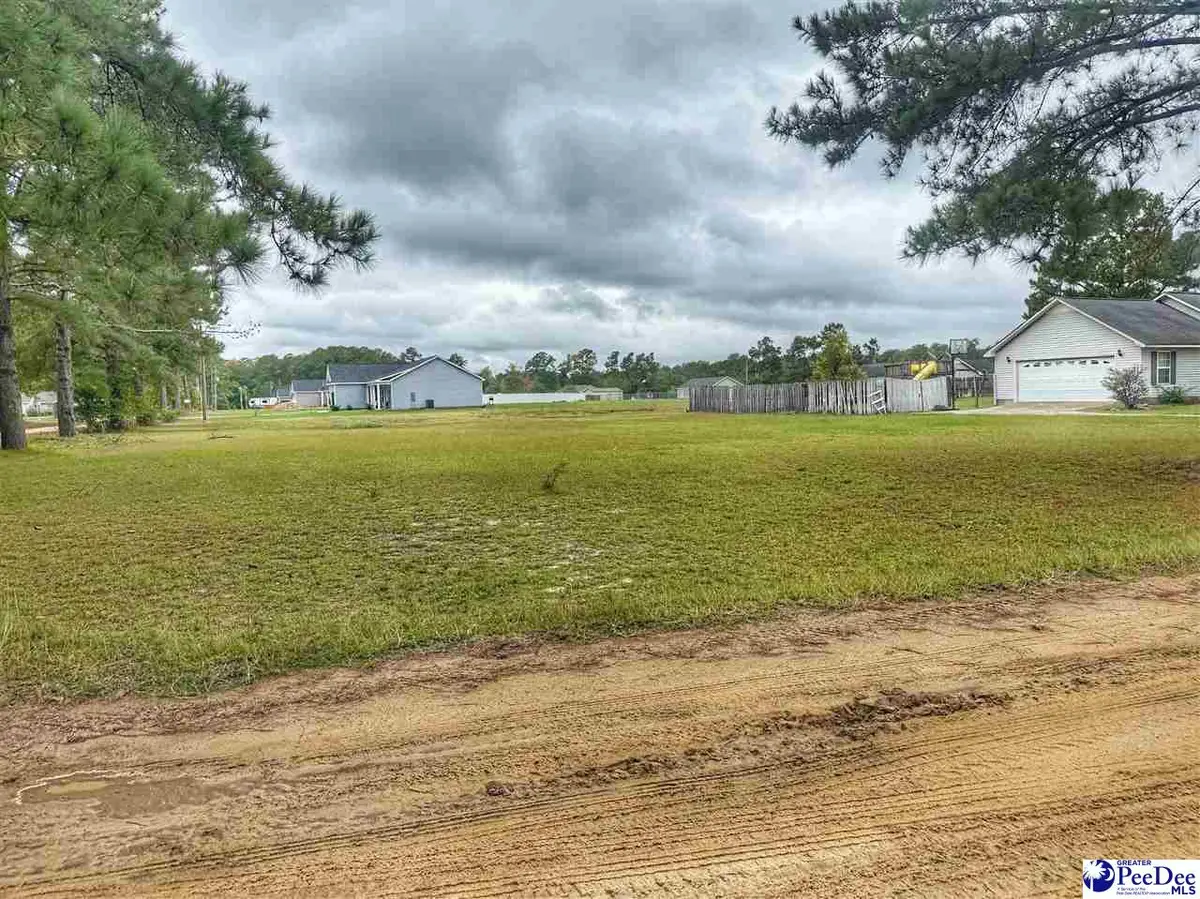 Lot 42 Ashtin Court, Latta, SC 29565 - #1