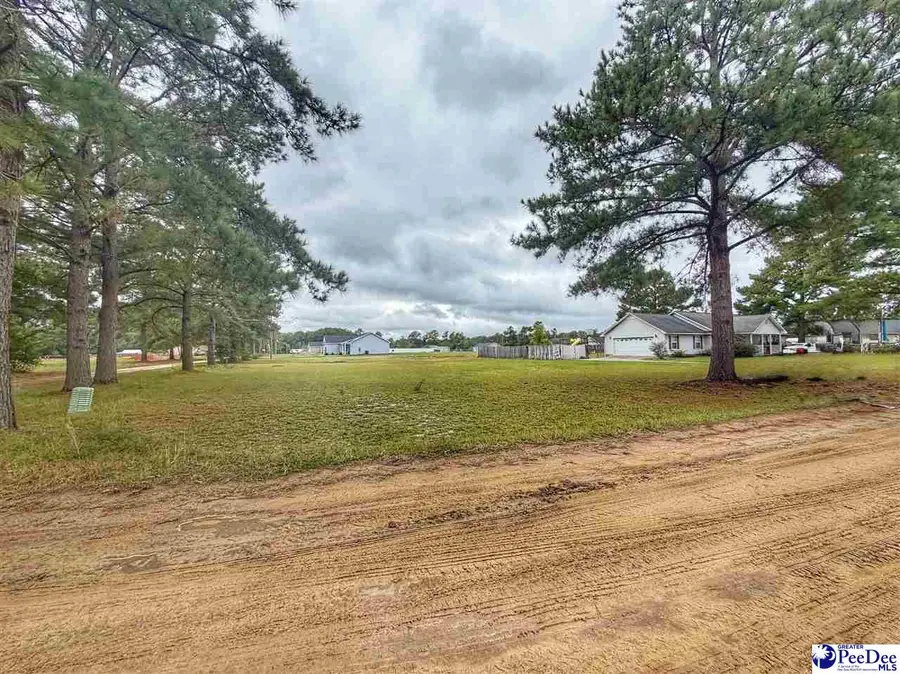 Lot 42 Ashtin Court, Latta, SC 29565 - #2