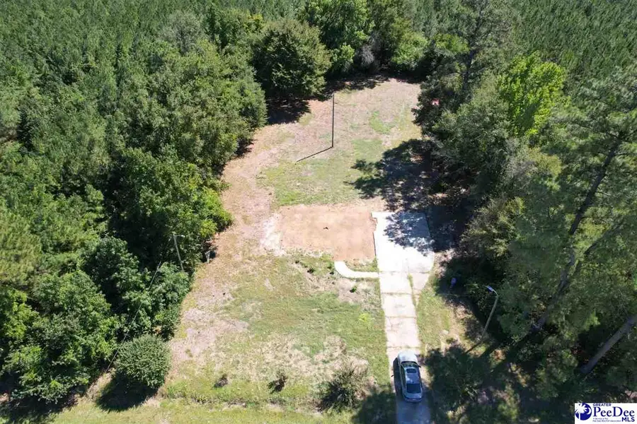 4517 W Highway 34, Latta, SC 29565 - #3