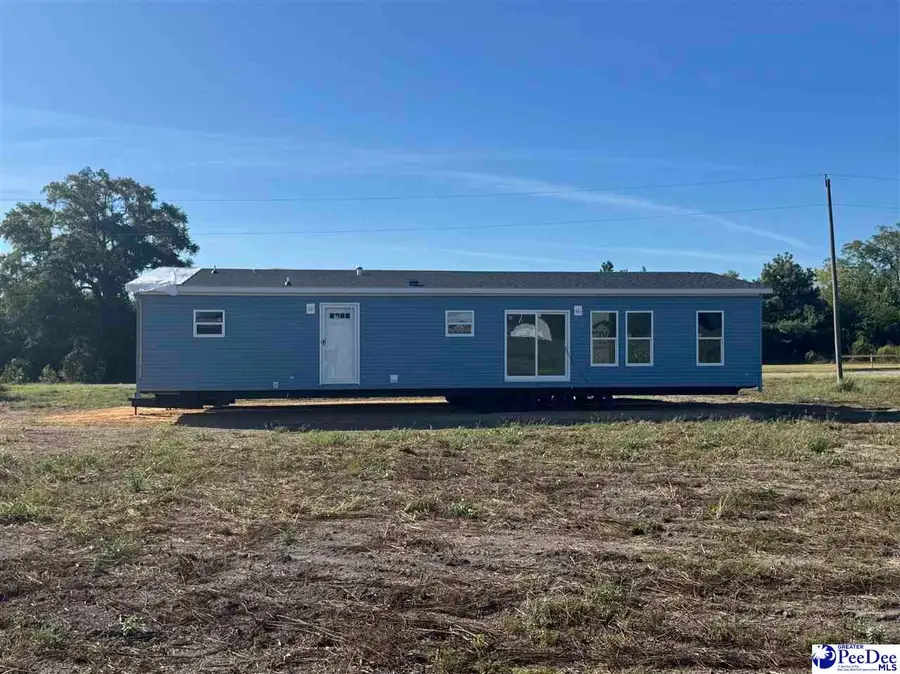 118 Norman Dr, Darlington, SC 29540 - #3