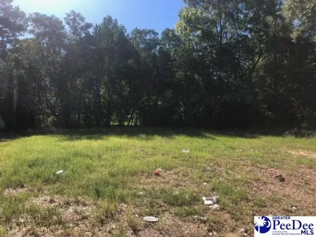 317 Brewer Ave, Hartsville, SC 29550-0000 - #1