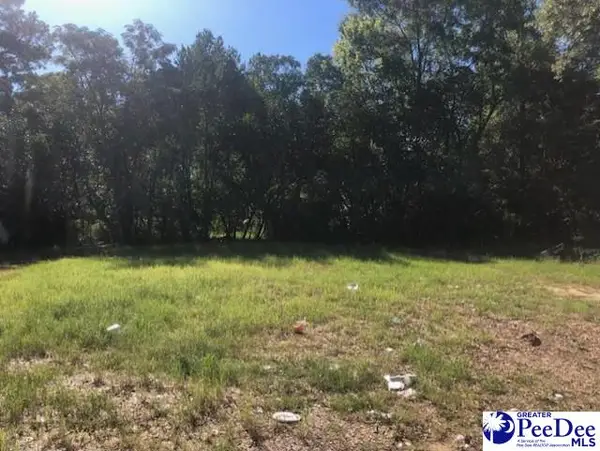 317 Brewer Ave, Hartsville, SC 29550-0000