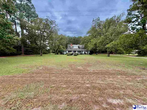 4177 Old State Hwy 38, Blenhiem, SC 29516