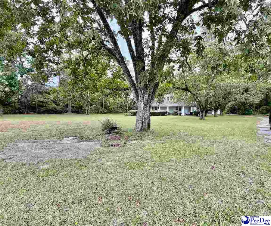 4177 Old State Hwy 38, Blenheim, SC 29516 - #2