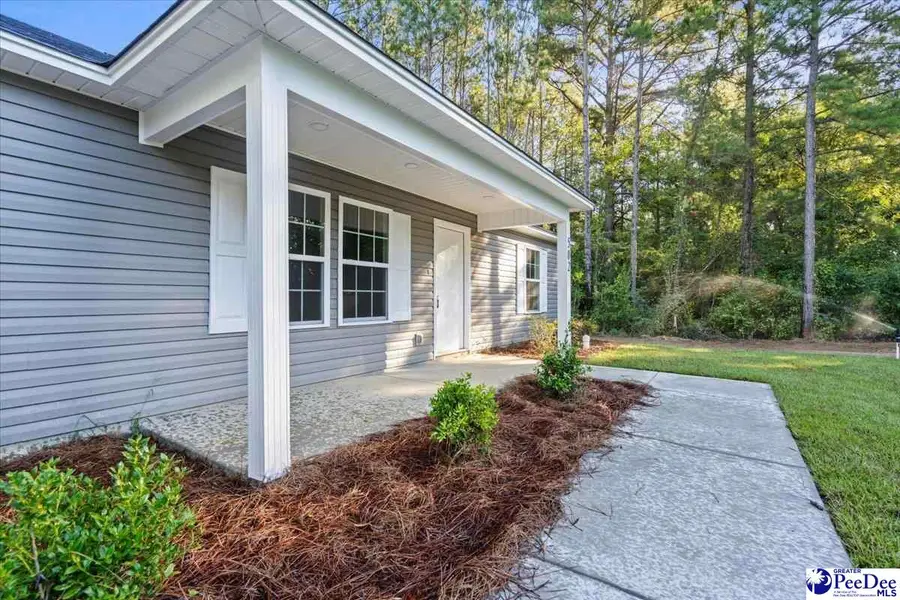 502 Lewellen Avenue, Hartsville, SC 29550 - #2