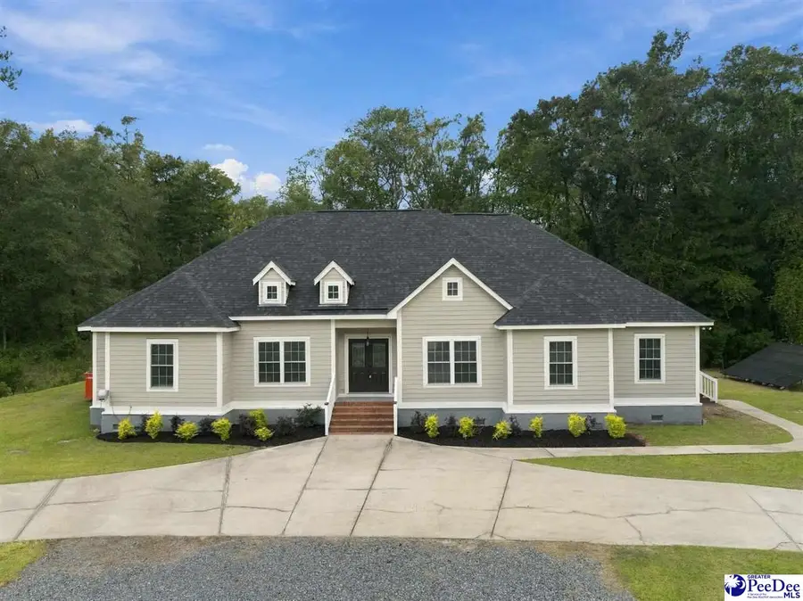 8667 Parkers Ferry Rd, Adams Run, SC 29426 - #2