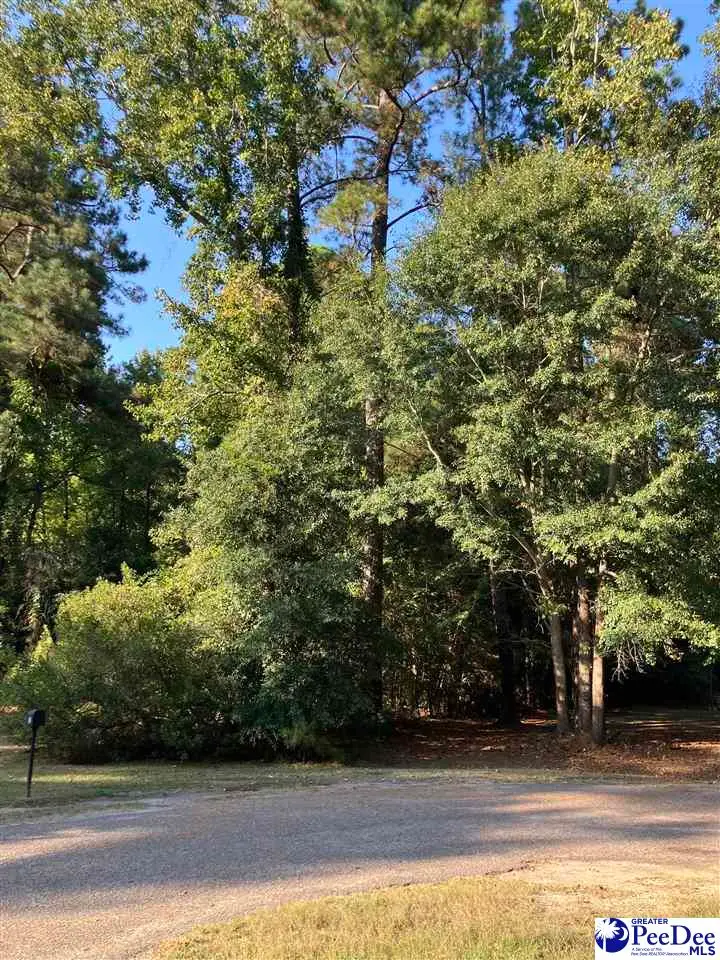 TBD LOT 14 Lincoln Place, Mullins, SC 29574 - #1