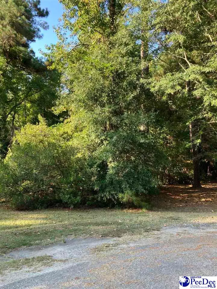 TBD LOT 14 Lincoln Place, Mullins, SC 29574 - #2