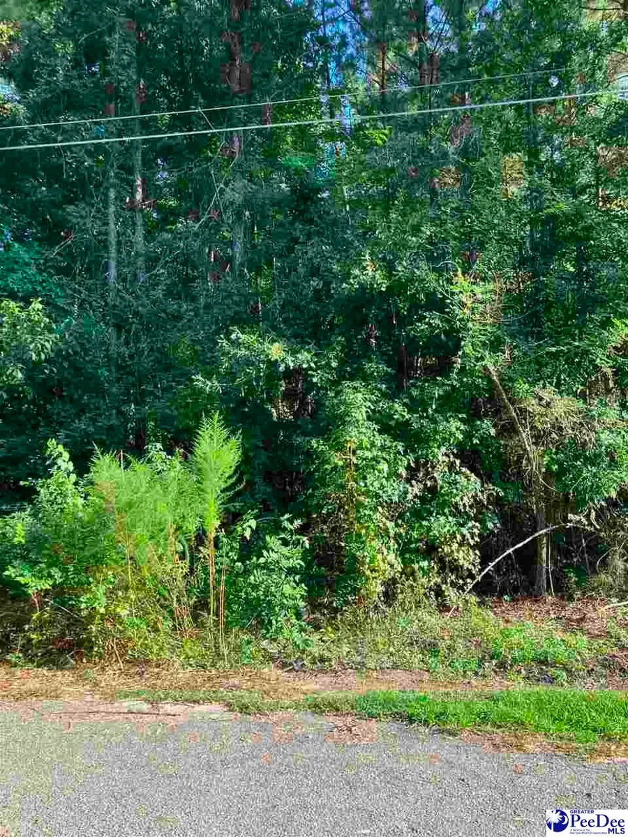 TBD LOT 14 Lincoln Place, Mullins, SC 29574 - #3