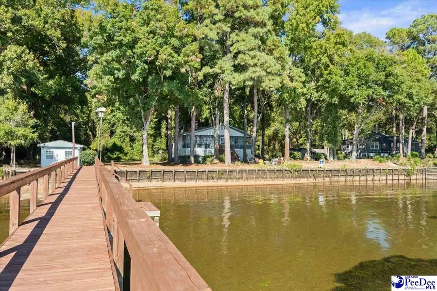 4152 Princess Pond Road, North Santee, SC 29148 - #2