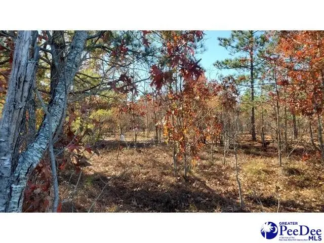 TBD Ousleydale Road, Hartsville, SC 29550 - #1
