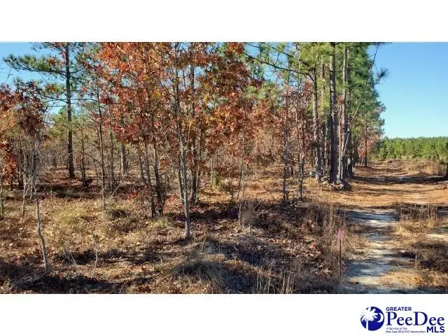 TBD Ousleydale Road, Hartsville, SC 29550 - #2
