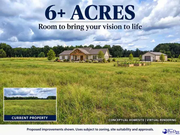 TBD N Old Georgetown Road 6.22 Acres, Lake City, SC 29560