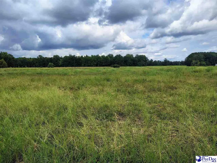 TBD N Old Georgetown Road 6.22 Acres, Lake City, SC 29560 - #3
