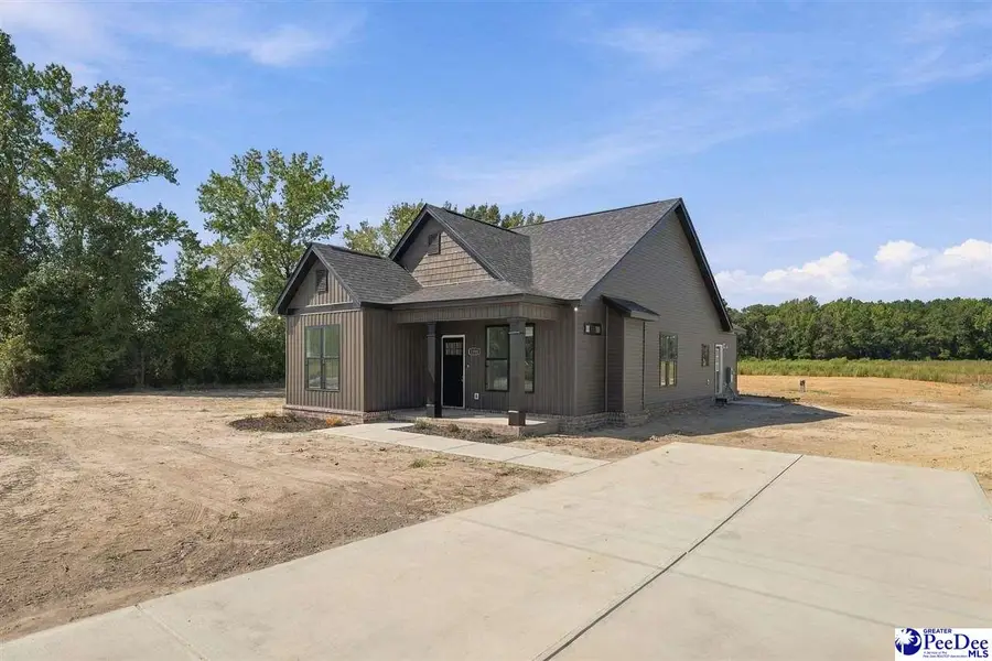 1701 Darlington Street, Timmonsville, SC 29161 - #2