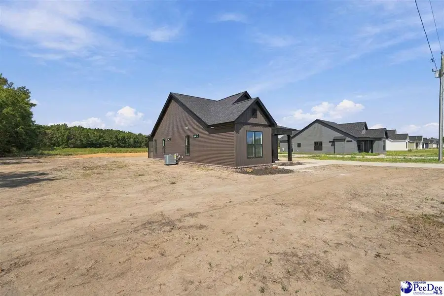 1701 Darlington Street, Timmonsville, SC 29161 - #3