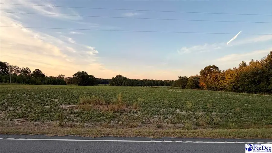 2971 S Cartersville Hwy, Timmonsville, SC 29161-8036 - #3