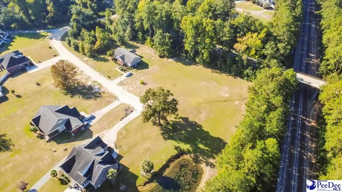 TBD Ivanhoe Place, Hamer, SC 29547 - #1