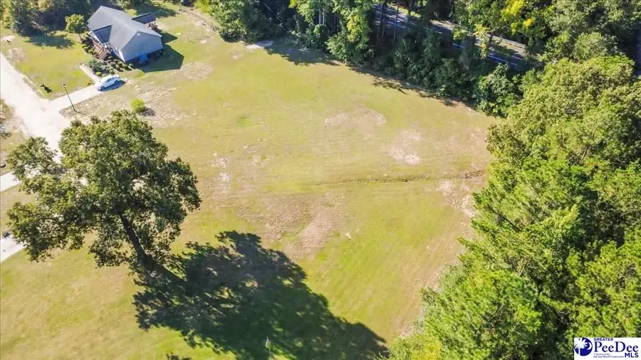 TBD Ivanhoe Place, Hamer, SC 29547 - #3