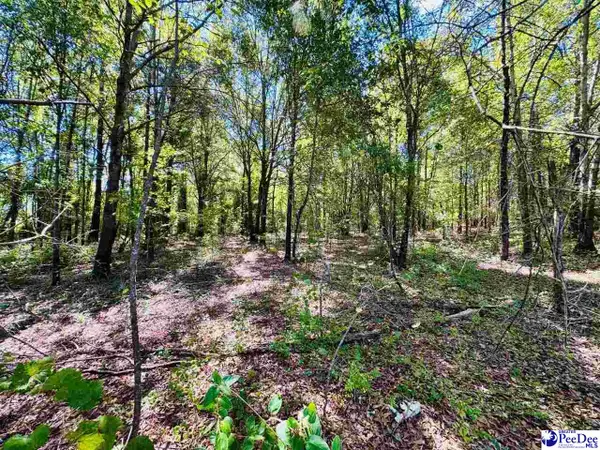 Lot 167 Brangus Lane, Cheraw, SC 29520
