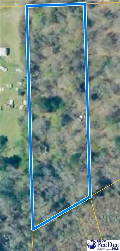 Lot 167 Brangus Lane, Cheraw, SC 29520 - #2