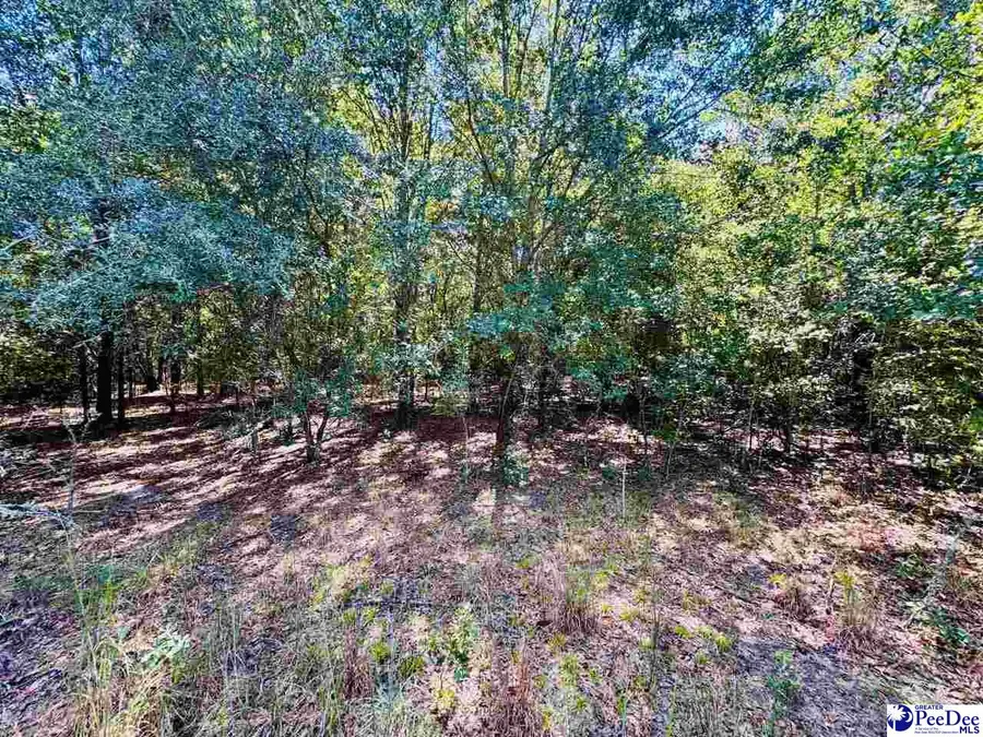 Lot 167 Brangus Lane, Cheraw, SC 29520 - #3