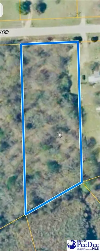 Lot 166 Brangus Lane, Cheraw, SC 29520 - #1