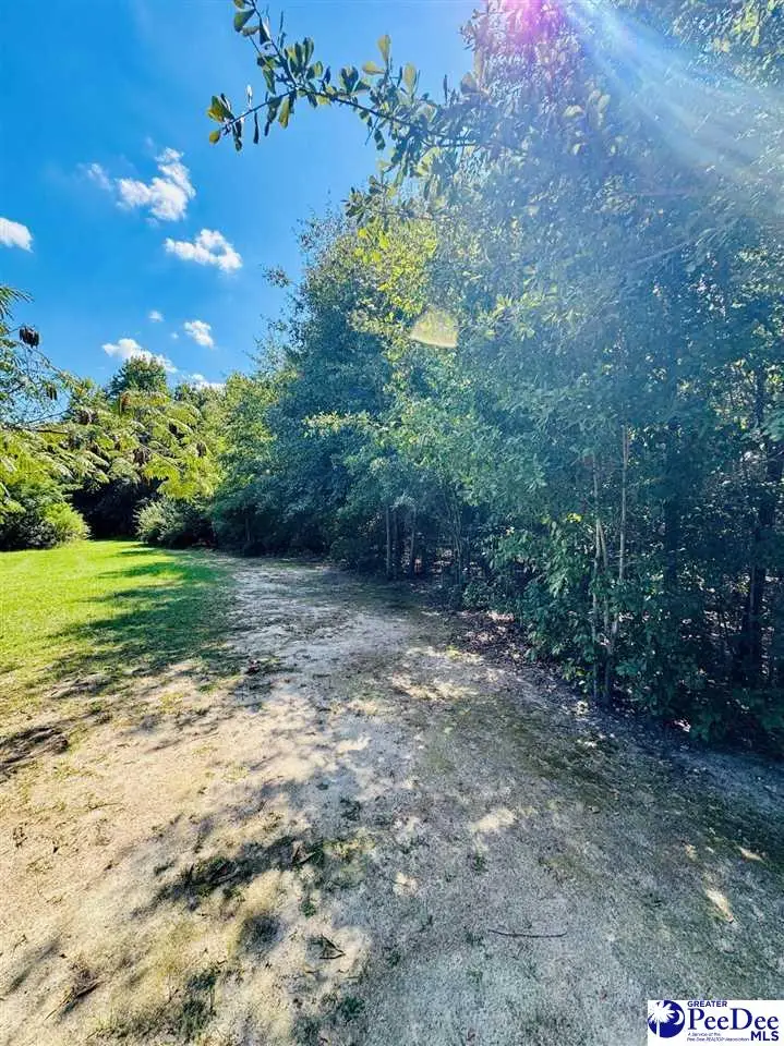 Lot 166 Brangus Lane, Cheraw, SC 29520 - #2