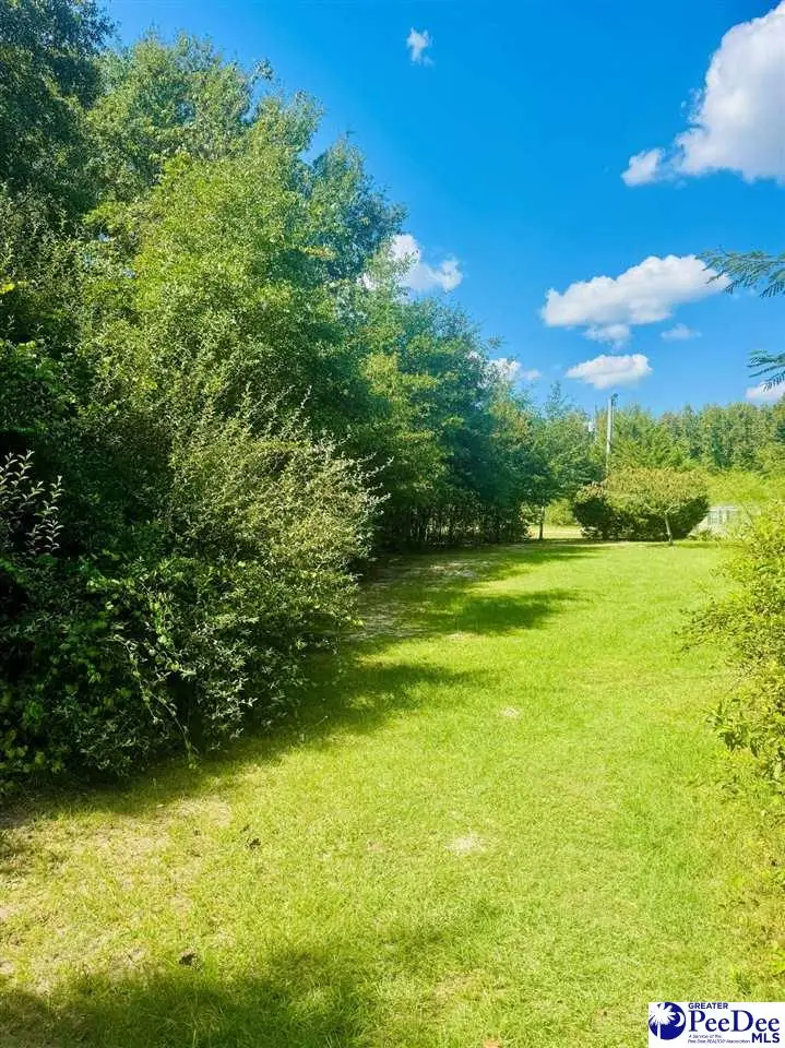 Lot 166 Brangus Lane, Cheraw, SC 29520 - #3