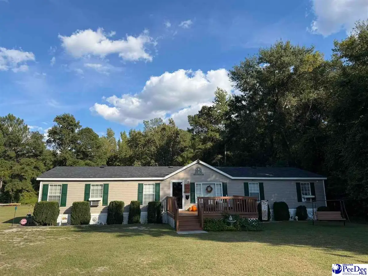 532 Sandy Hill Drive, Dillon, SC 29536 - #1